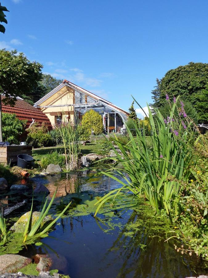 "Balmgarten" Im Naturpark Usedom, Bio Solarhaus Mit Grossem Garten Apartamento Exterior foto