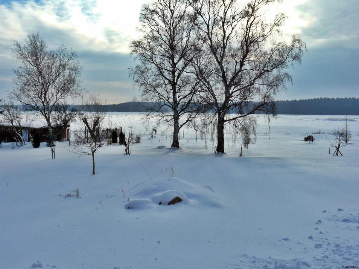 "Balmgarten" Im Naturpark Usedom, Bio Solarhaus Mit Grossem Garten Apartamento Exterior foto