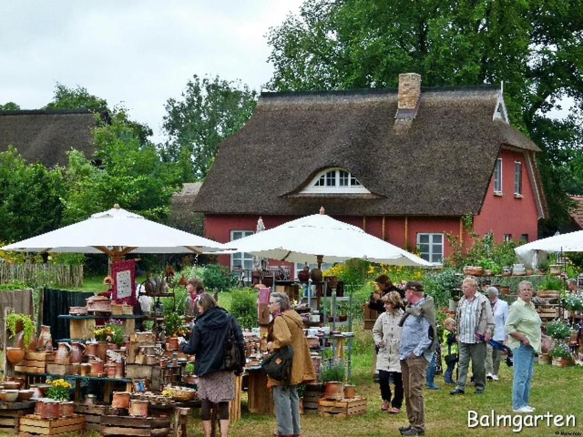 "Balmgarten" Im Naturpark Usedom, Bio Solarhaus Mit Grossem Garten Apartamento Exterior foto