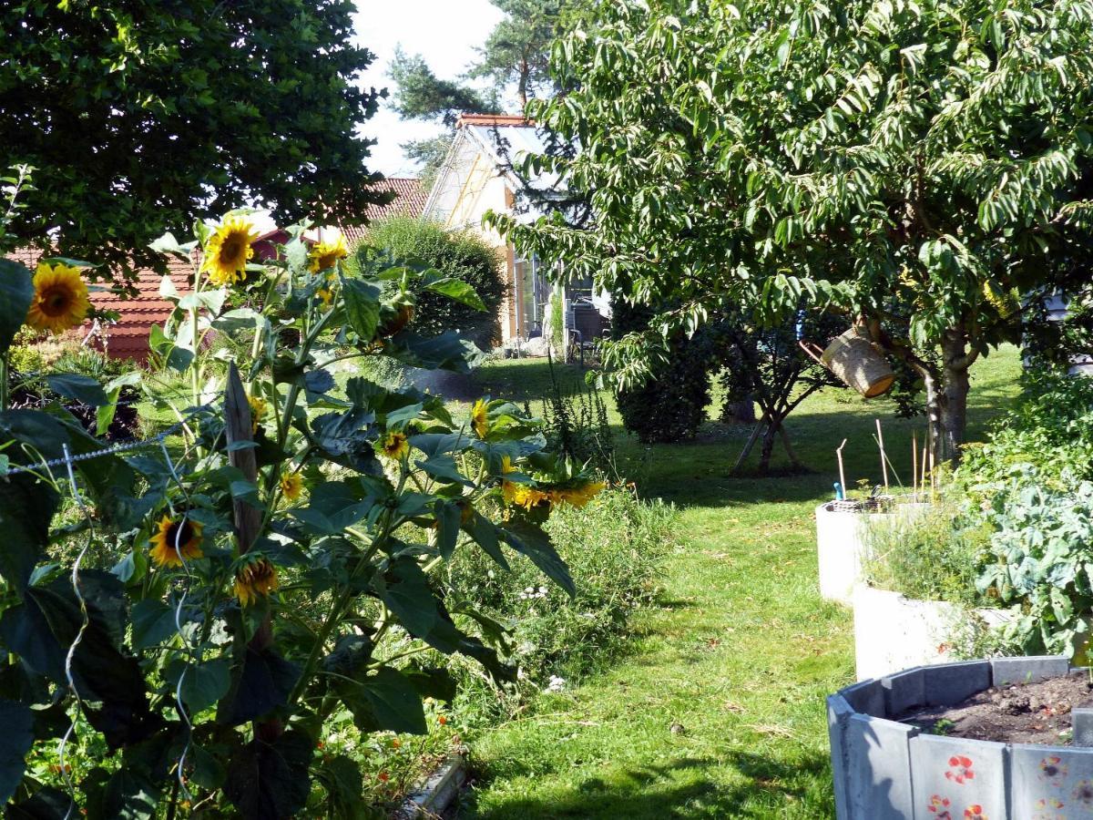 "Balmgarten" Im Naturpark Usedom, Bio Solarhaus Mit Grossem Garten Apartamento Exterior foto