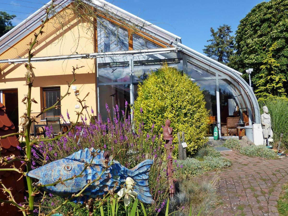 "Balmgarten" Im Naturpark Usedom, Bio Solarhaus Mit Grossem Garten Apartamento Exterior foto