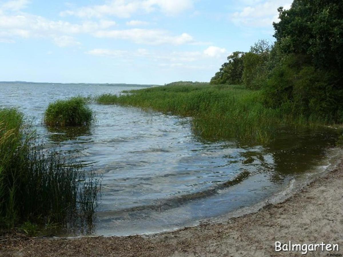 "Balmgarten" Im Naturpark Usedom, Bio Solarhaus Mit Grossem Garten Apartamento Exterior foto