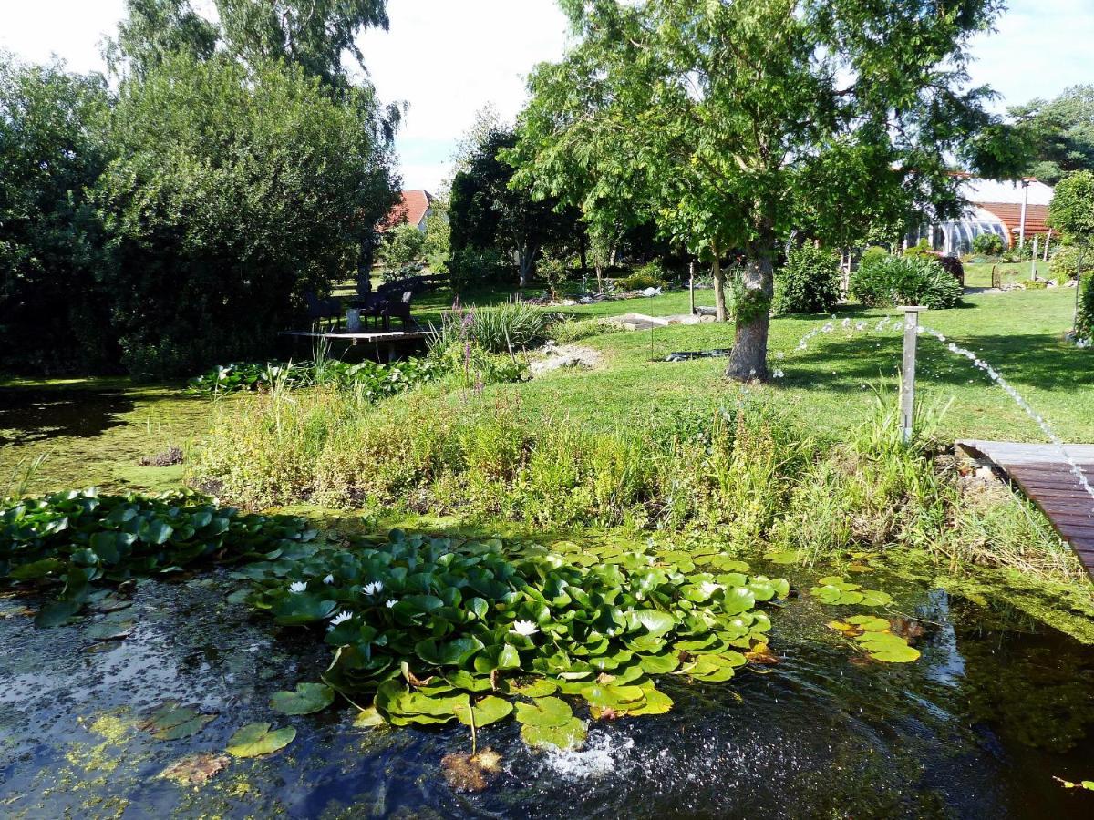 "Balmgarten" Im Naturpark Usedom, Bio Solarhaus Mit Grossem Garten Apartamento Exterior foto